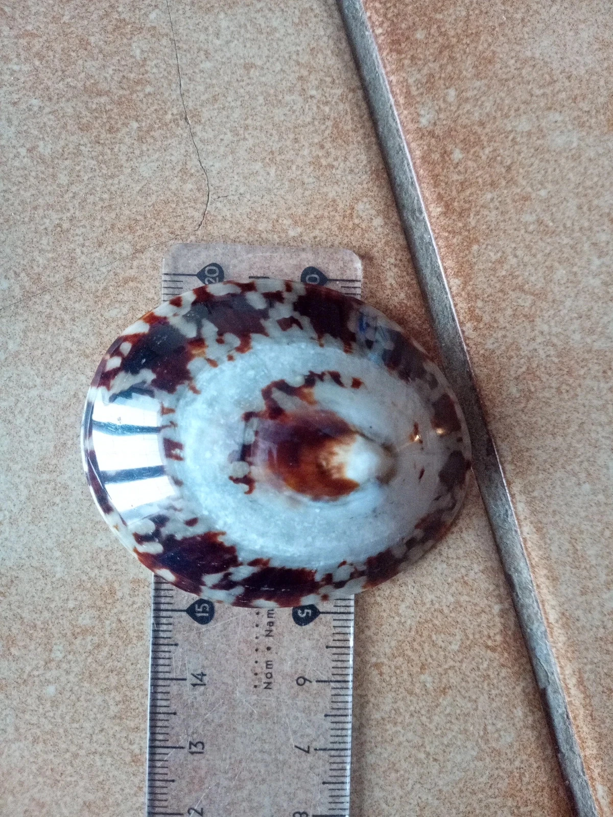 Breastfeeding shells – photo 8